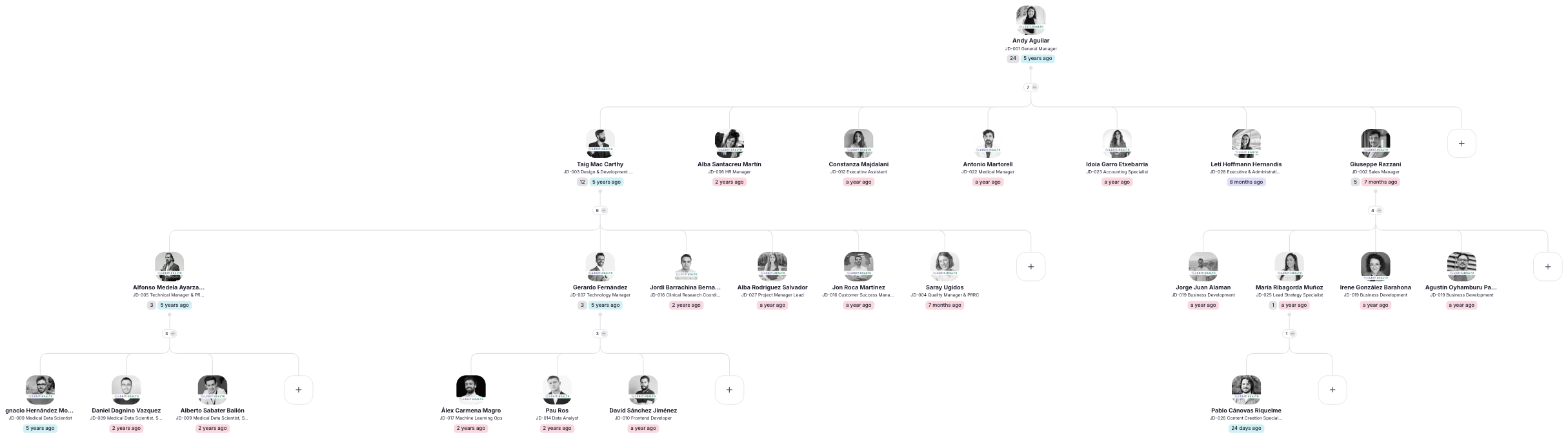 team organisational chart